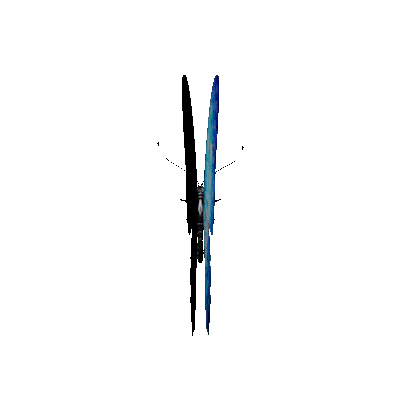 Butterfly Animation